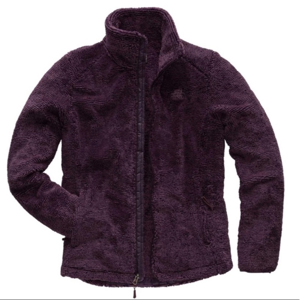 The Northface deep purple fleece jacket.
